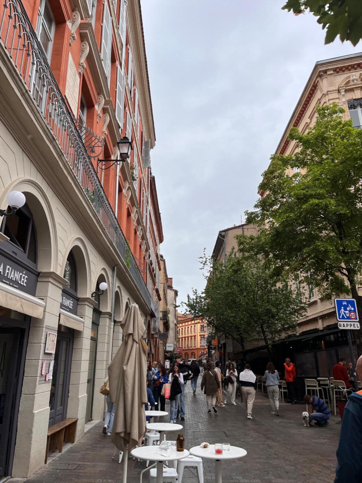 Le Petit Toulousain Chic Toulouse Exterior photo
